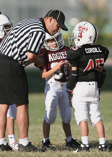 书写历史的 书写历史的